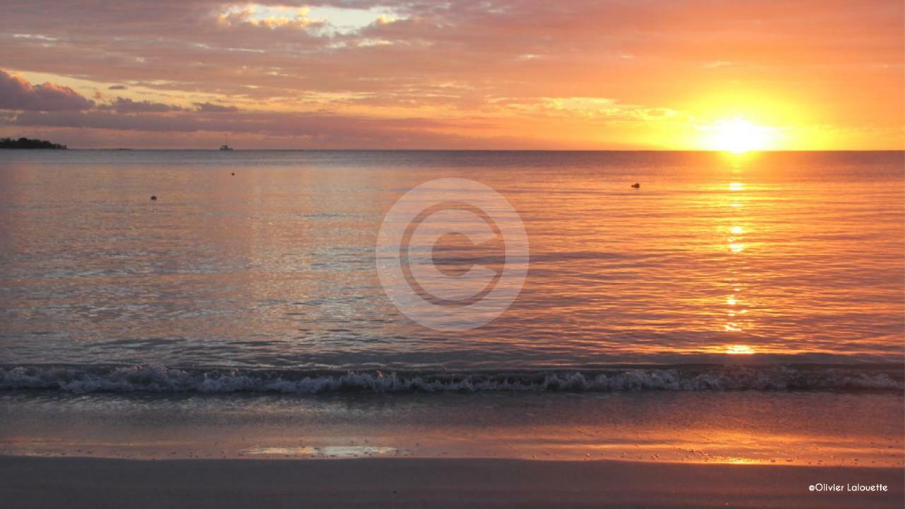 Fantastic Spacious Beachfront Villavacances غراند بايَ المظهر الخارجي الصورة