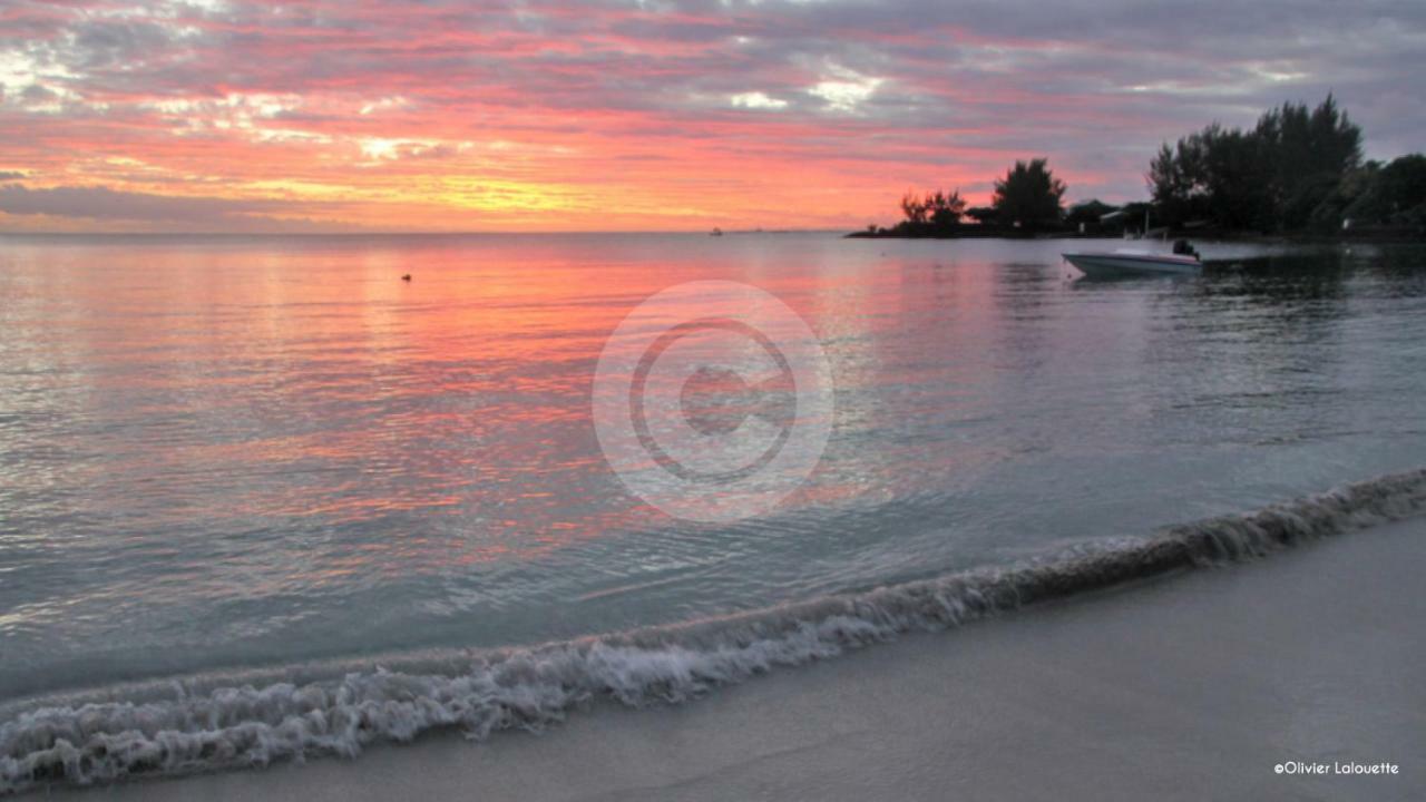 Fantastic Spacious Beachfront Villavacances غراند بايَ المظهر الخارجي الصورة