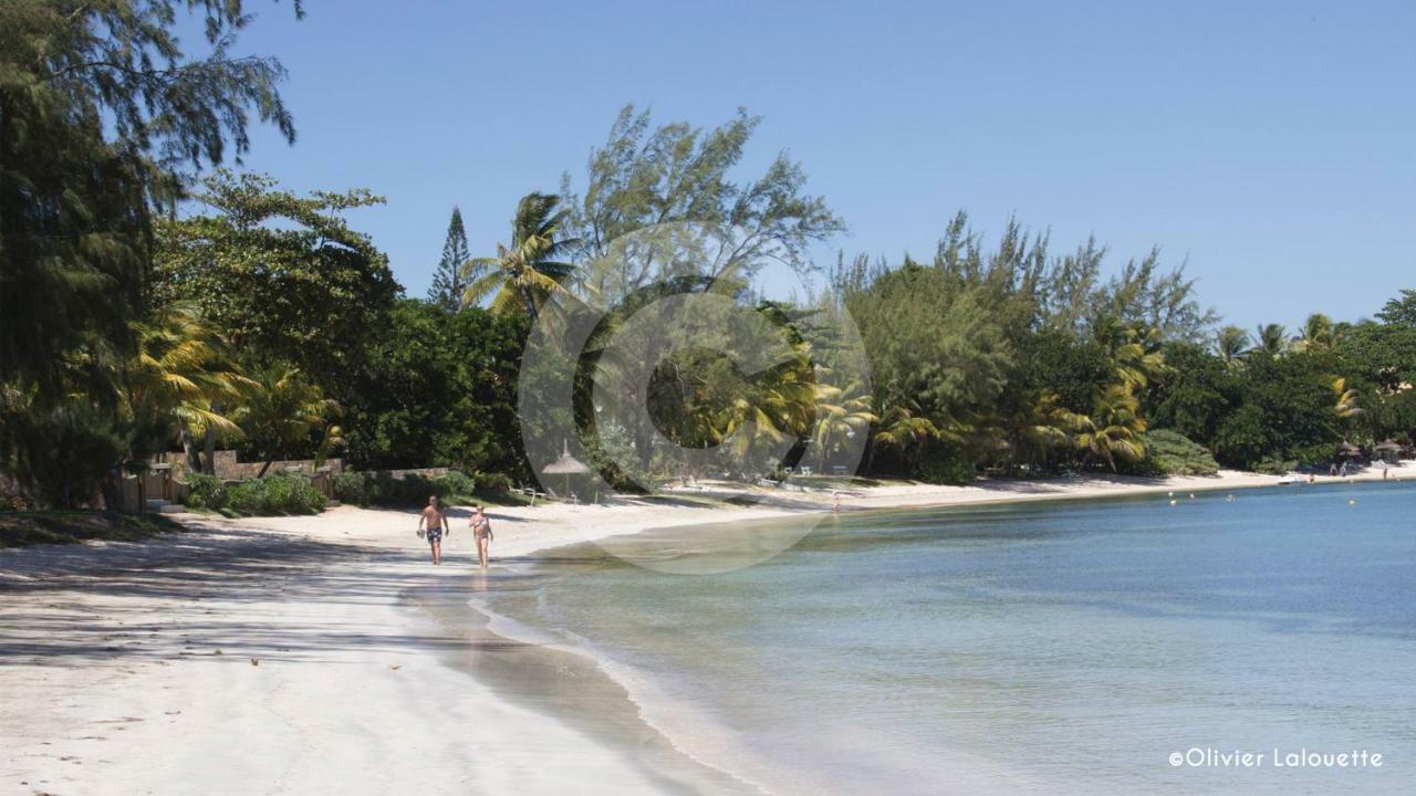 Fantastic Spacious Beachfront Villavacances غراند بايَ المظهر الخارجي الصورة